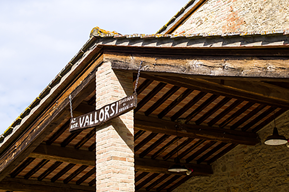 Azienda Agricola Vallorsi 