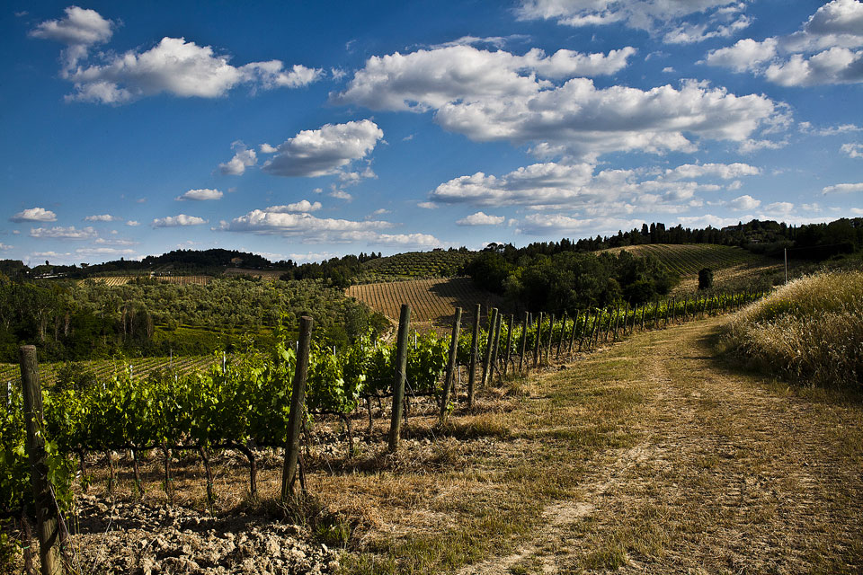 Azienda Agricola Pietro Beconcini