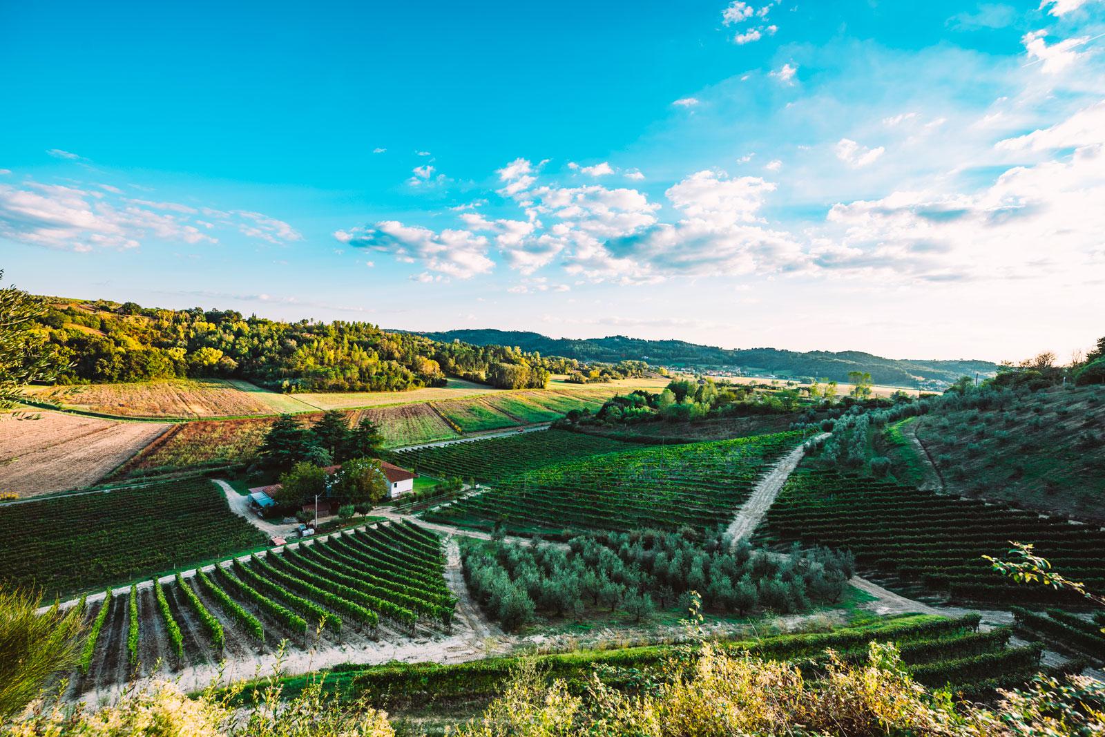  Podere Pellicciano