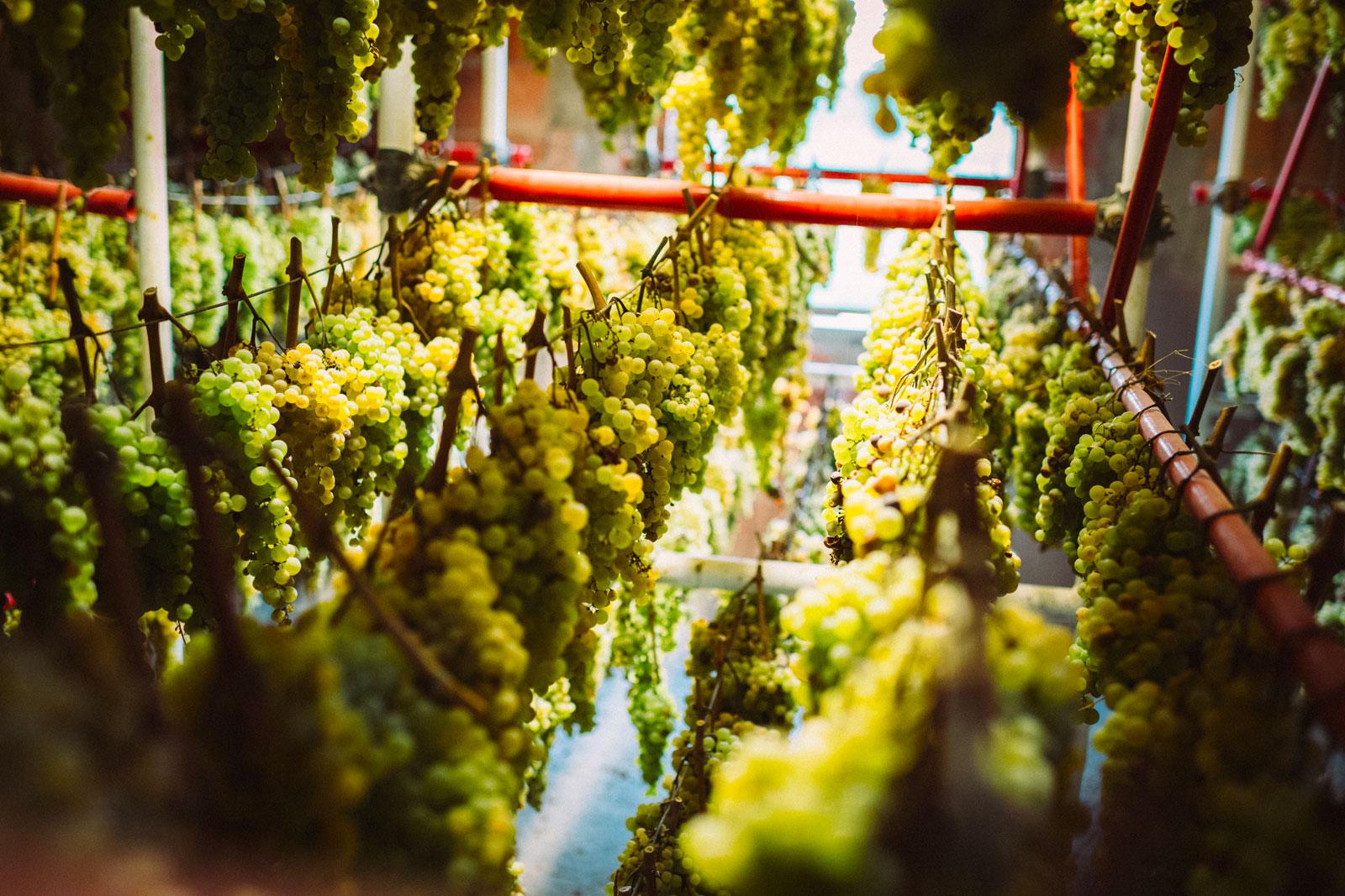  Podere Pellicciano