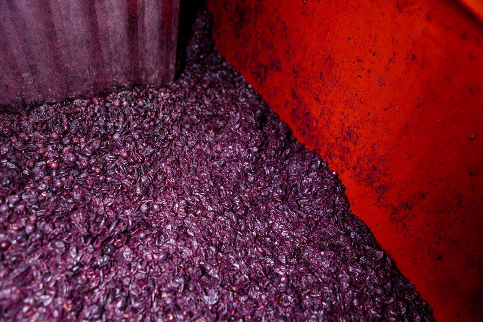  Podere Pellicciano