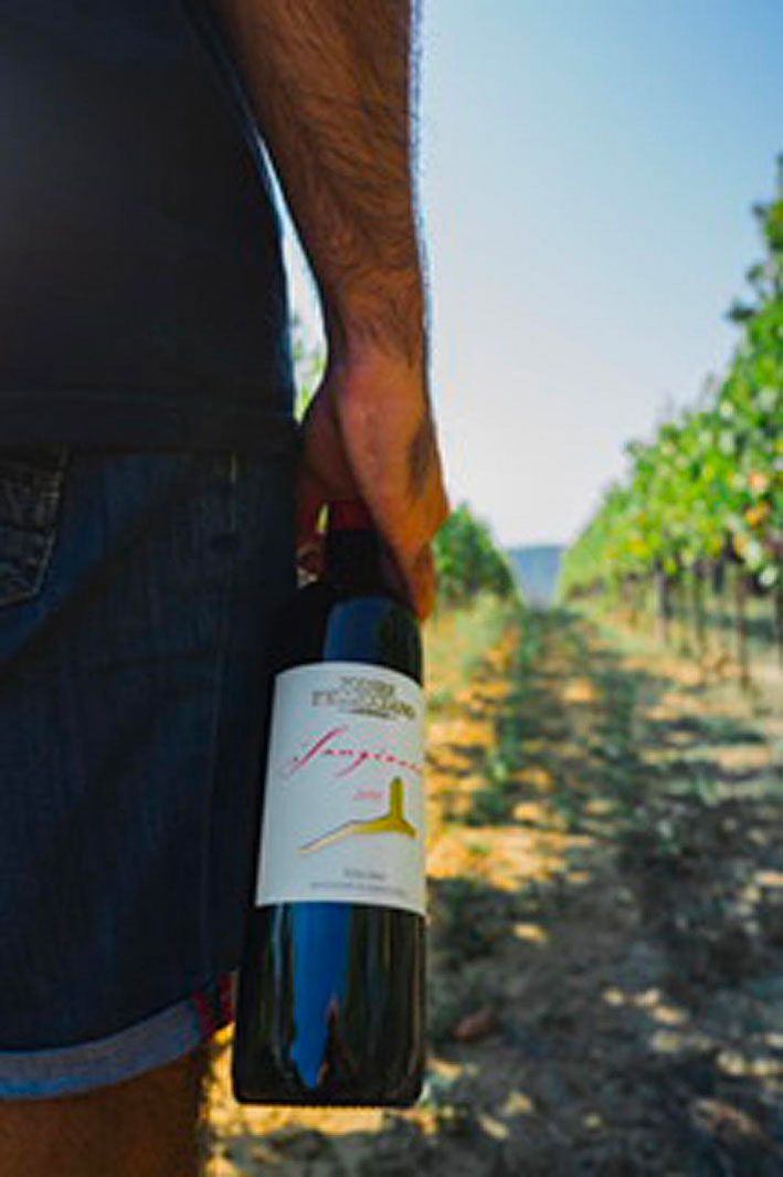  Podere Pellicciano