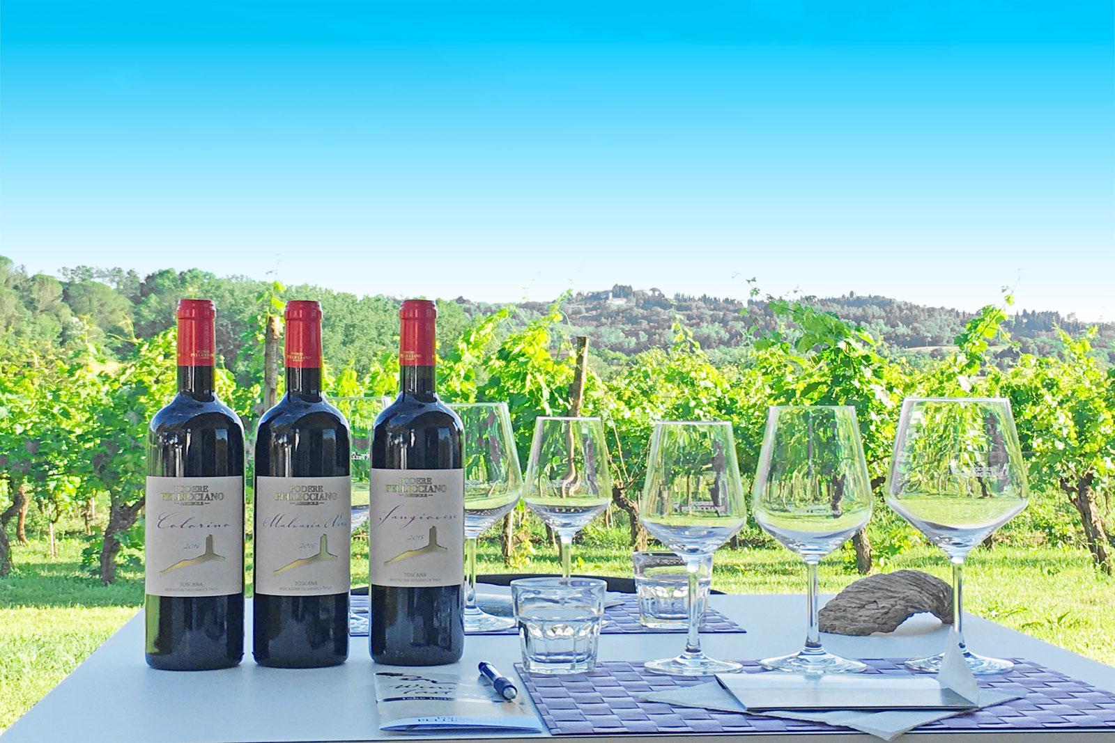  Podere Pellicciano
