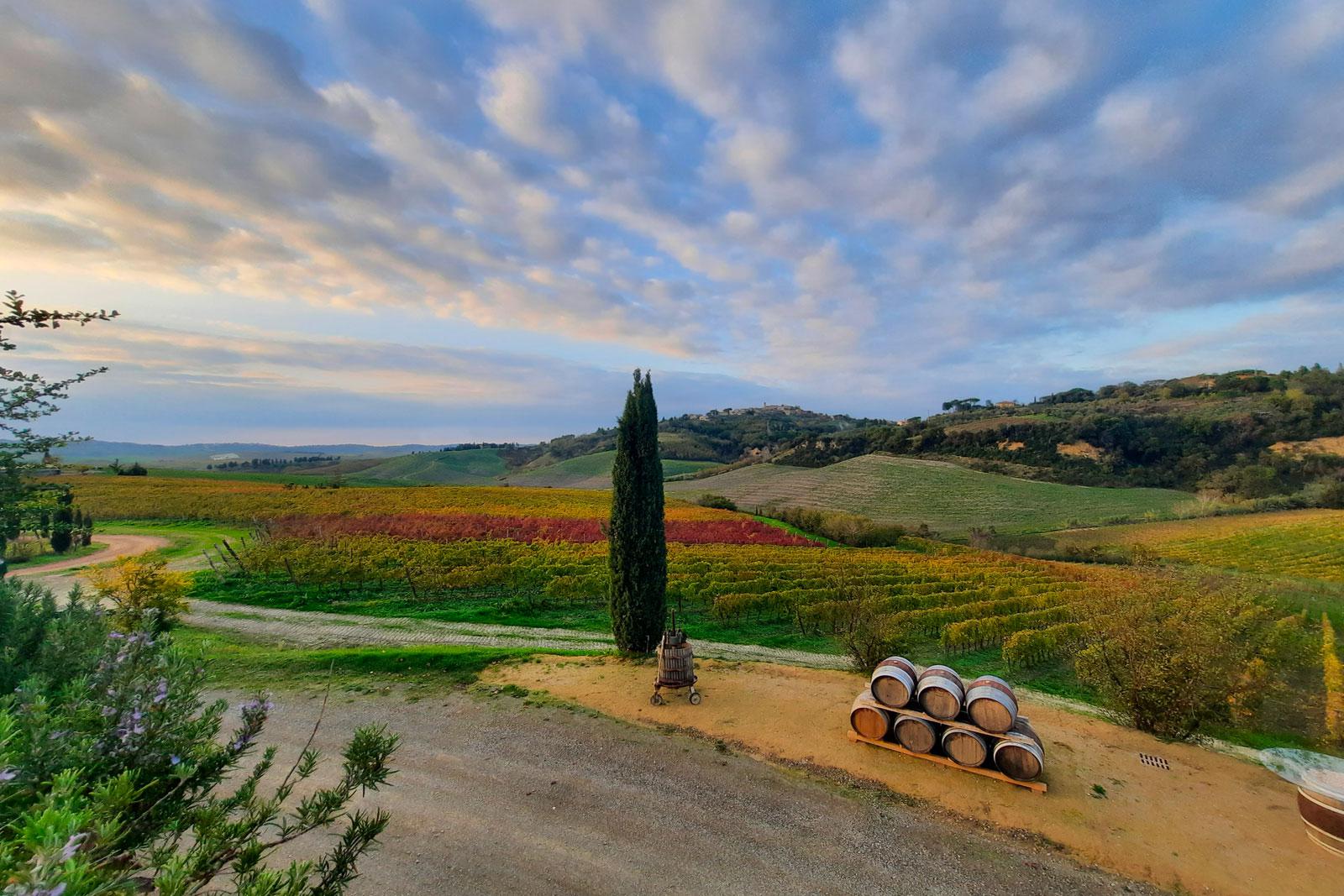 Azienda Agricola Castelvecchio
