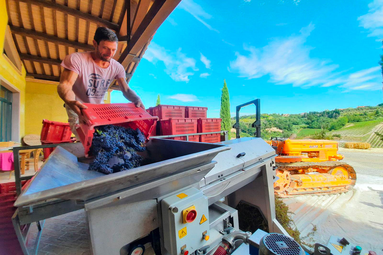 Azienda Agricola Castelvecchio