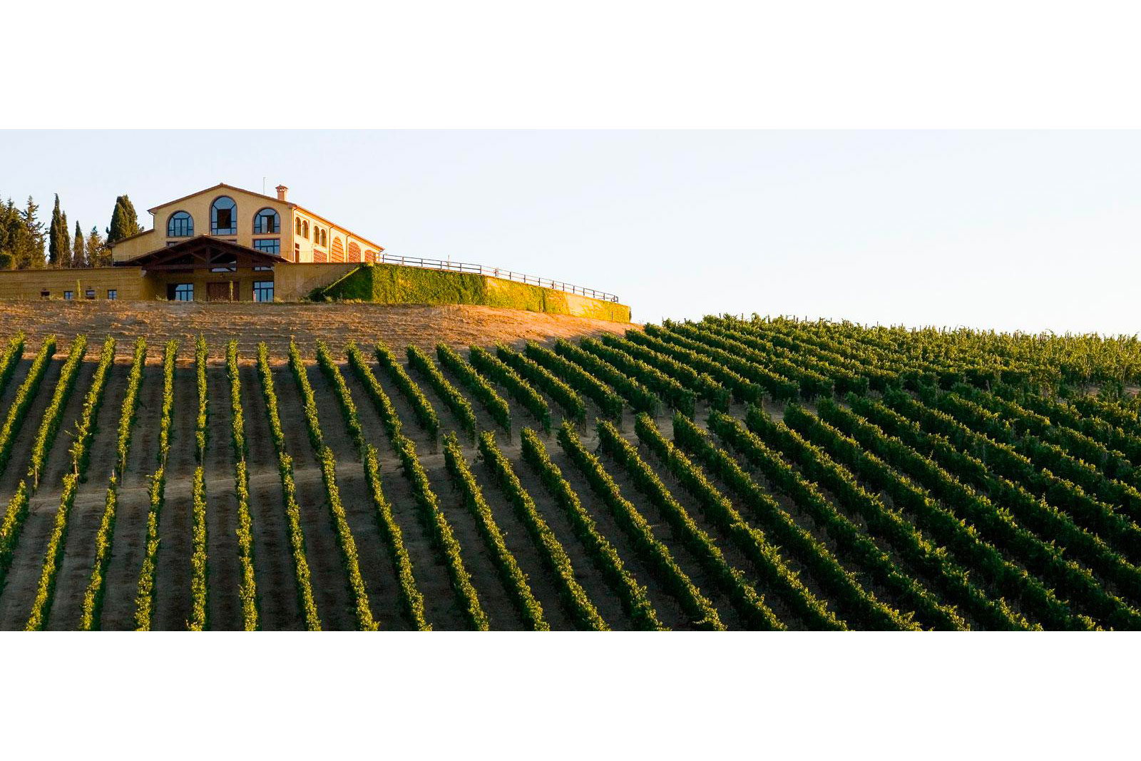 Azienda Agricola Castelvecchio