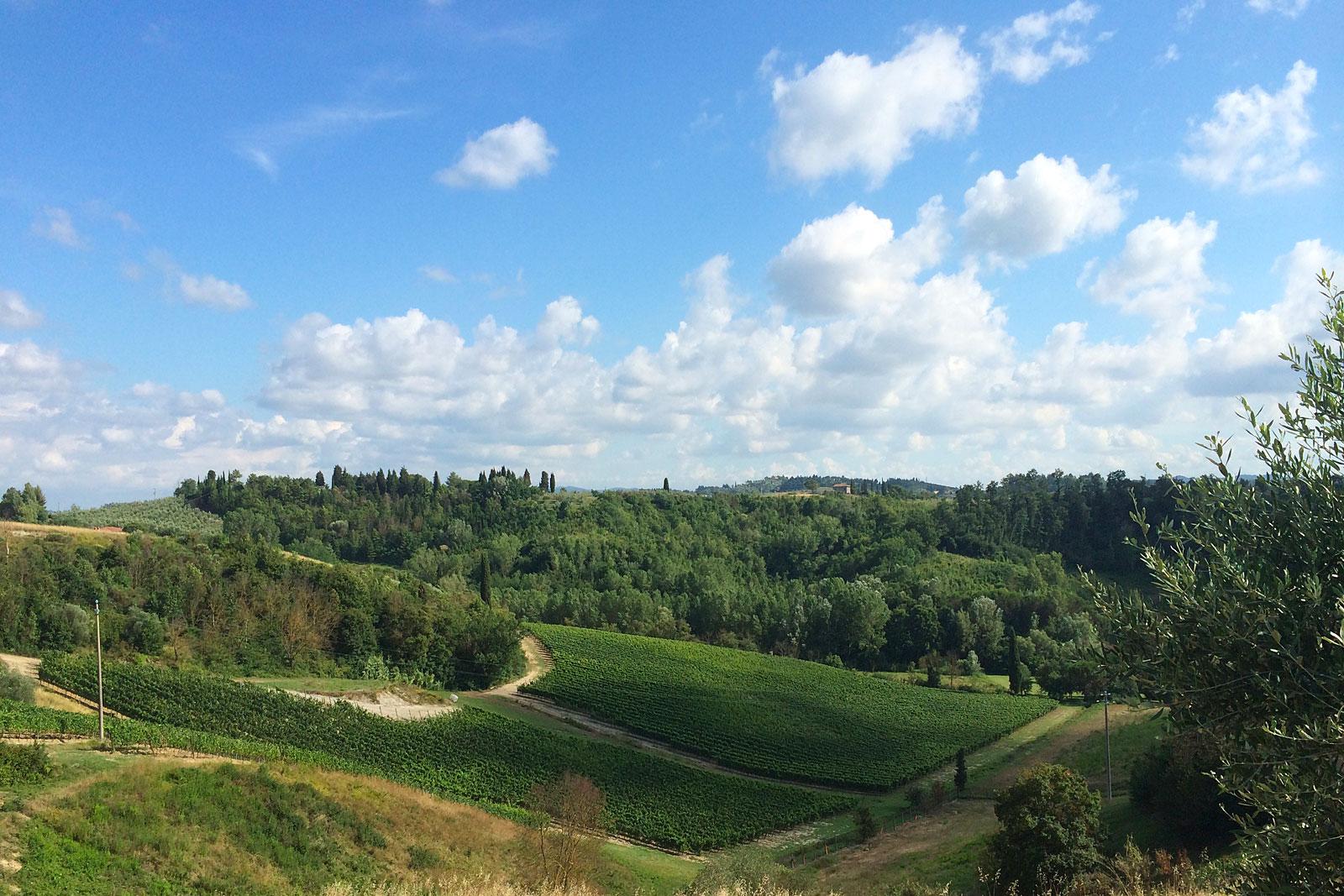 Azienda Agricola Pietro Beconcini