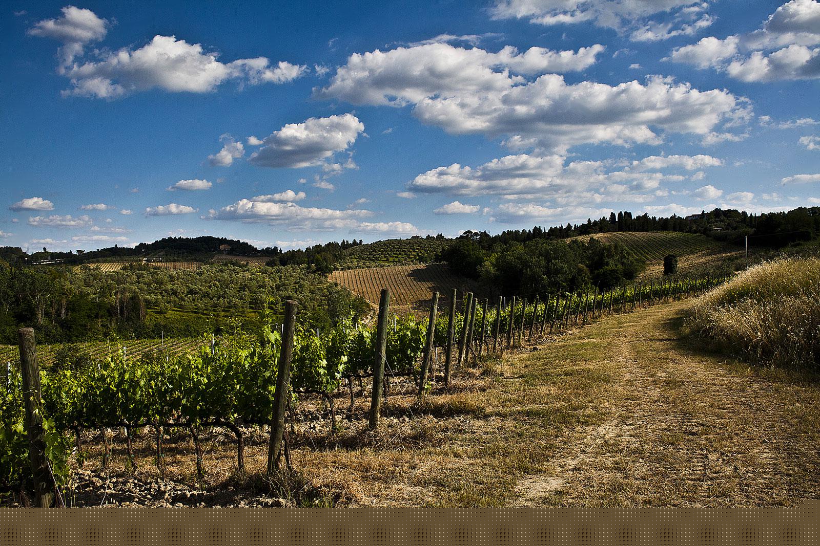 Azienda Agricola Pietro Beconcini
