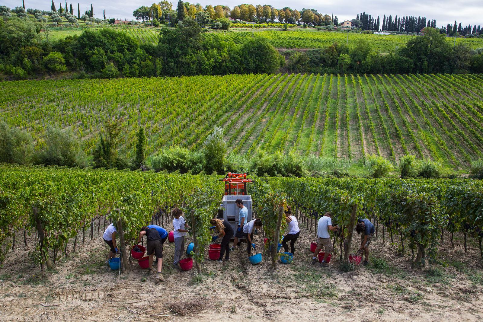 Azienda Agricola Pietro Beconcini