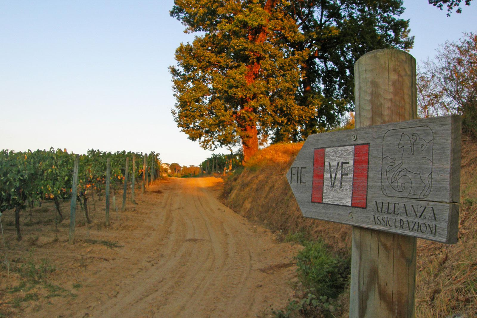 Azienda Agricola Pietro Beconcini