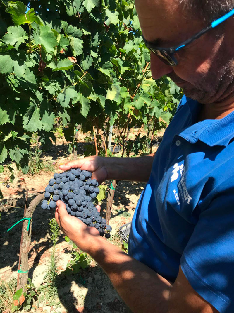 Azienda Agricola Pietro Beconcini