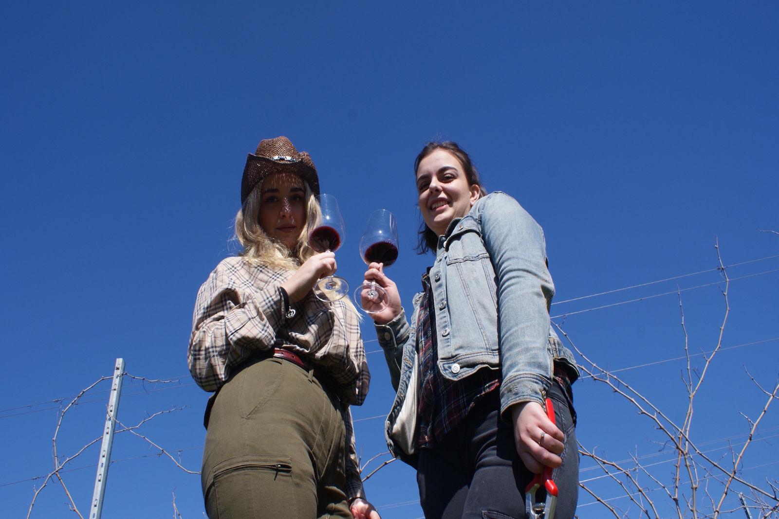 Fattoria Uccelliera