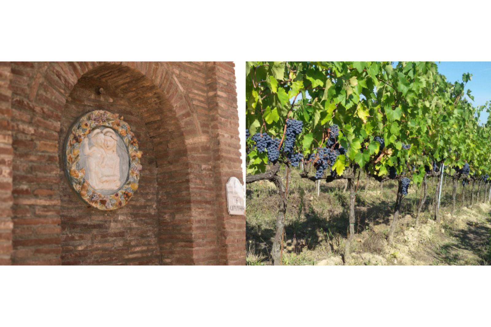 Fattoria Uccelliera