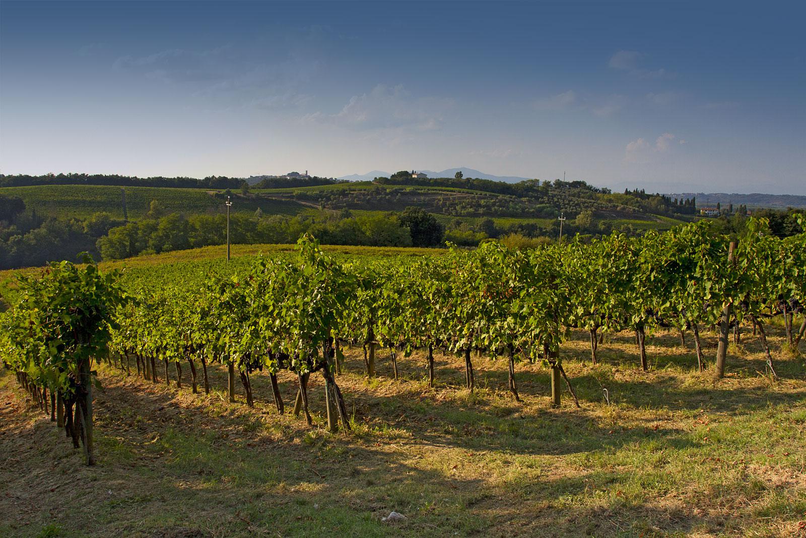 Podere La Chiesa
