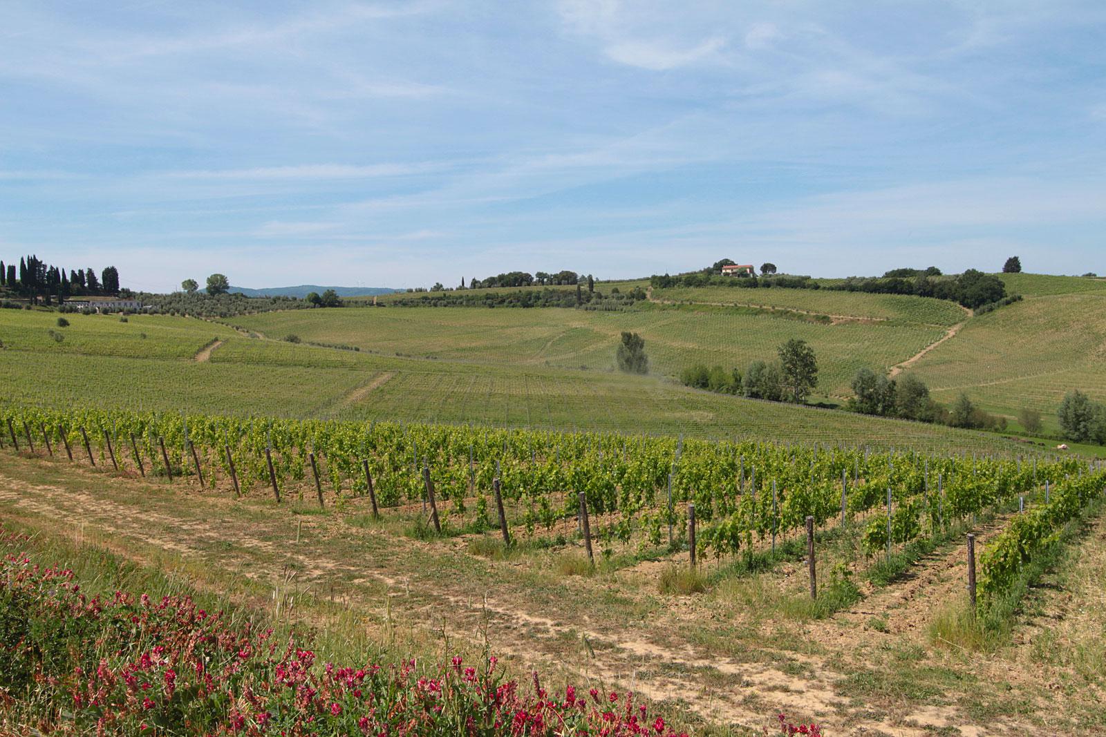 Podere La Chiesa