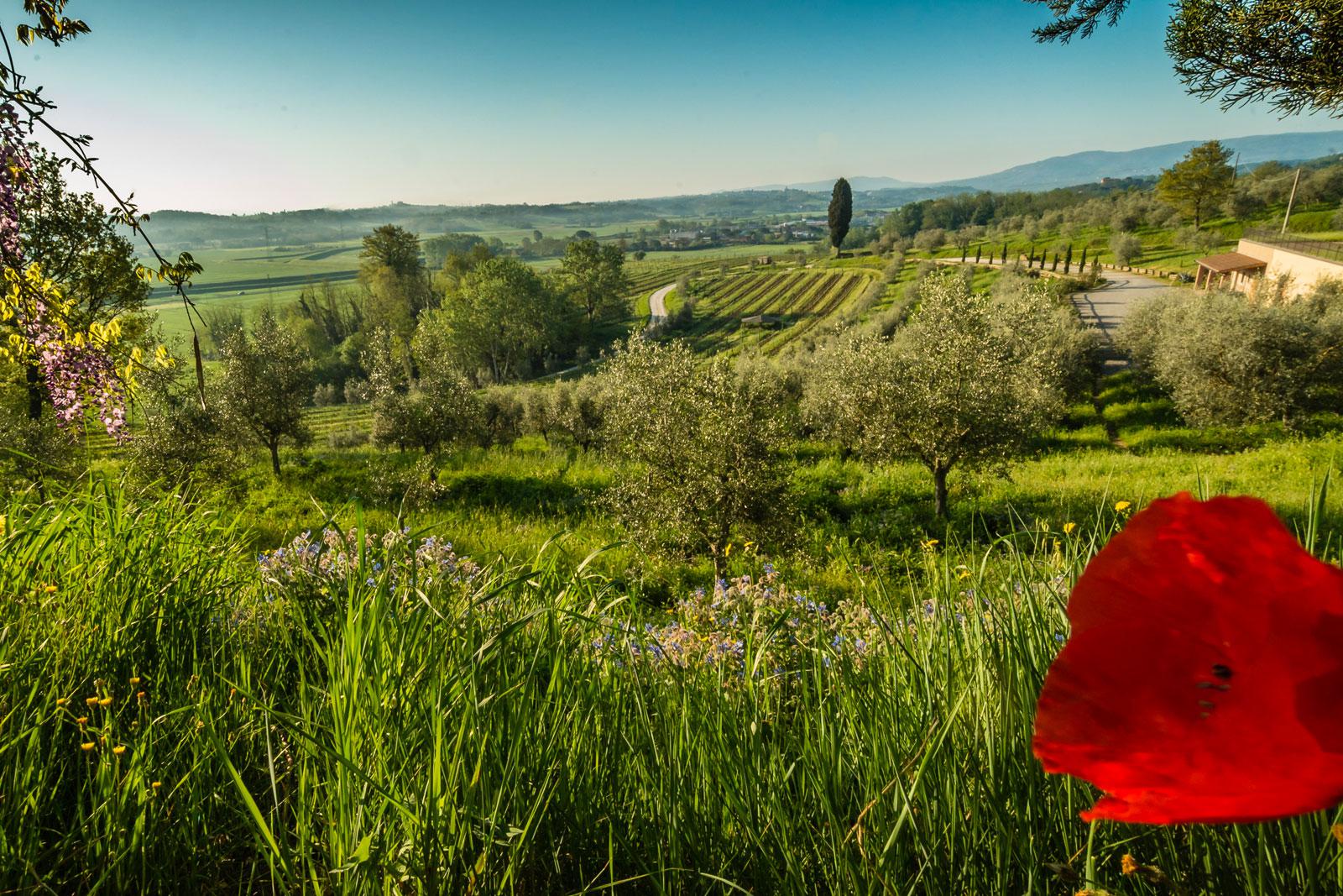Podere Spazzavento