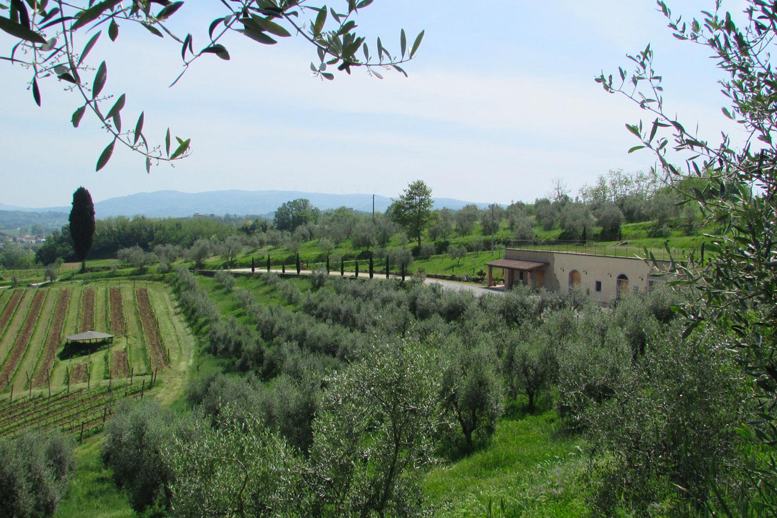 Podere Spazzavento