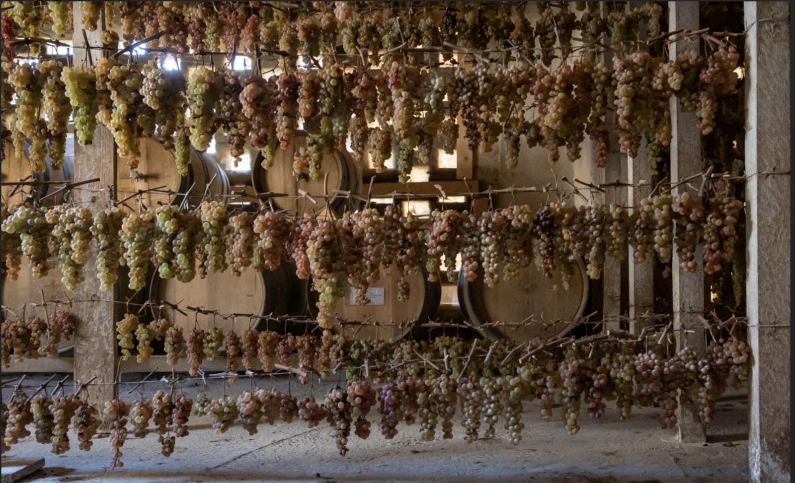 Azienda Agricola degli Azzoni Avogadro Carradori