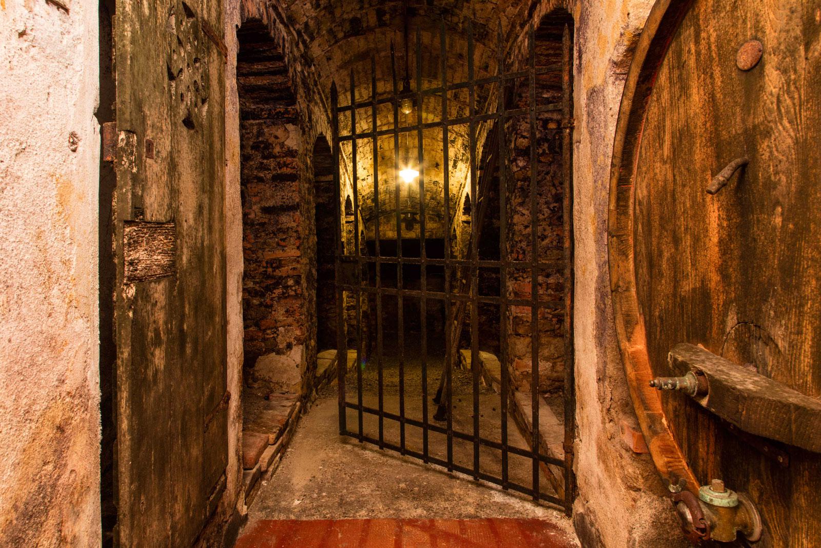 Tenuta di Ghizzano