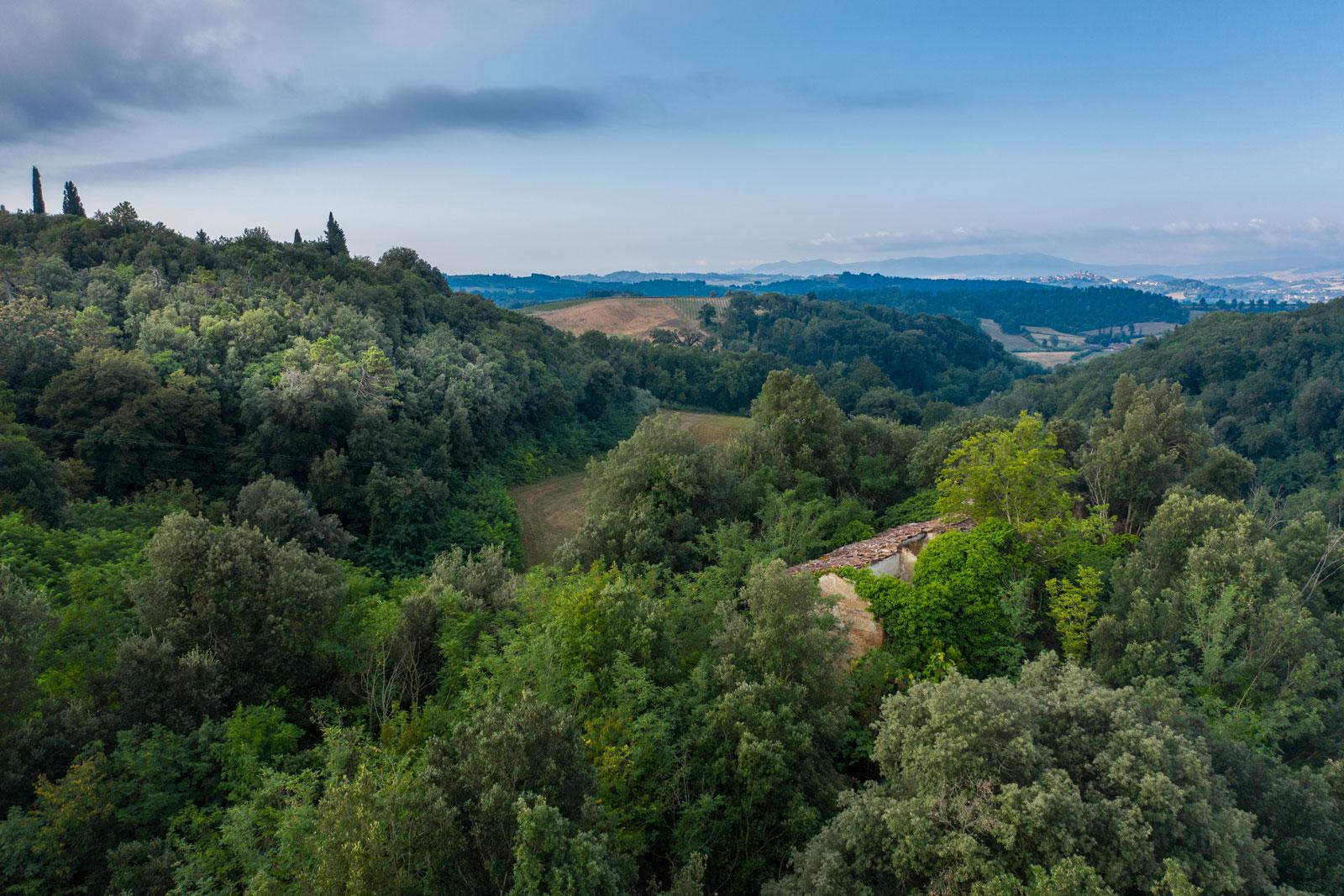 Fattoria Villa Saletta