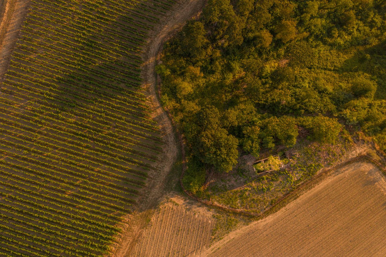 Fattoria Villa Saletta